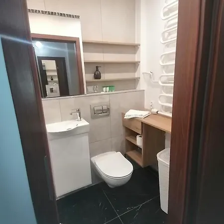Torunska Apartment *